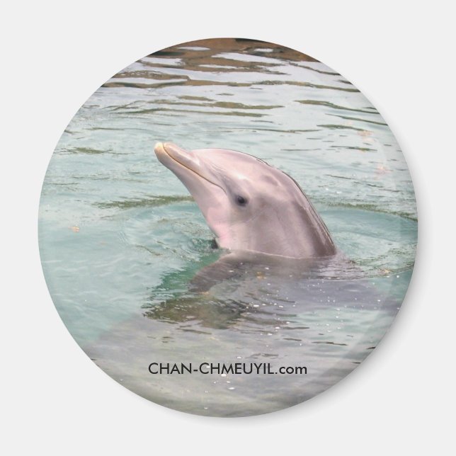 Aimant dauphin (Devant)
