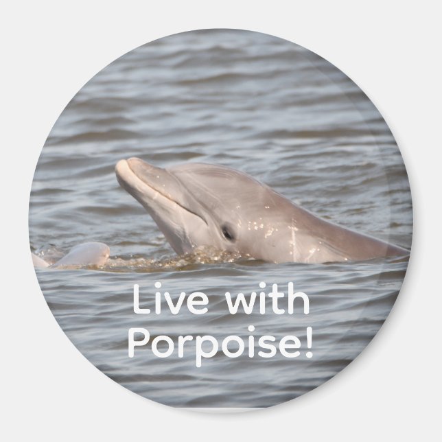 Aimant dauphin rond (Devant)