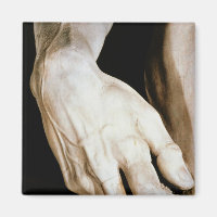 David par Michelangelo Buonarroti, 1501-04