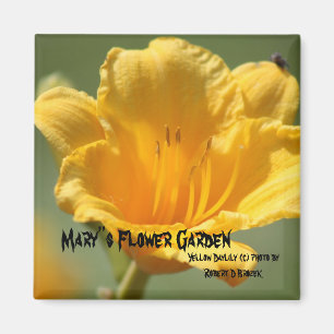 Aimant Daylilie Jaune