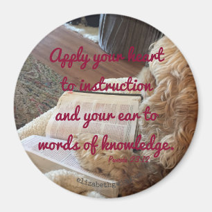 Aimant de 23h12 de proverbes