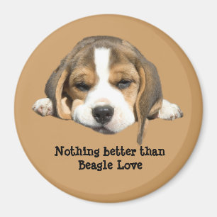 Aimant de beagle