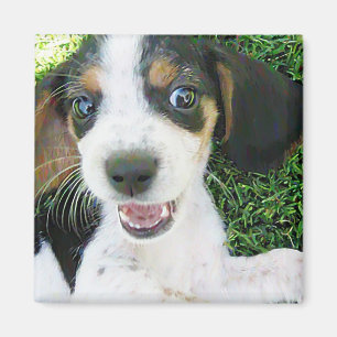 Aimant de beagle