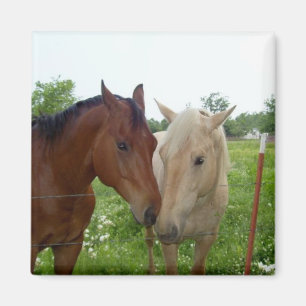 Aimant De BFF de meilleurs amis chevaux pour toujours -