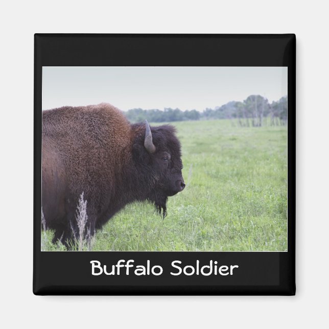 Aimant de bison des plaines américaines (Devant)