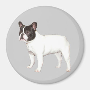 Aimant de bouledogue français