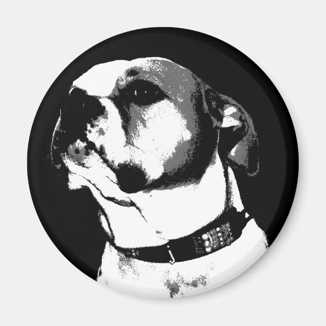 Aimant de bulldog américain (Devant)