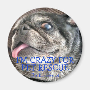 Aimant de Bumblesnot : Je suis fou pour la