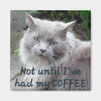 Aimant de café no 1 - Bricolage