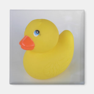 Aimant de canard