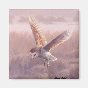 Aimant de carré de hibou de grange