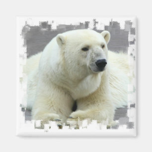 Aimant de carré d'ours blanc