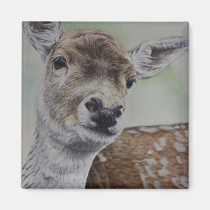Aimant de cerfs communs affrichés