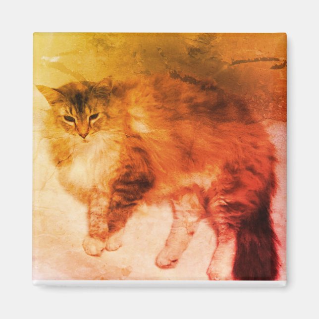 Aimant de chat (Devant)