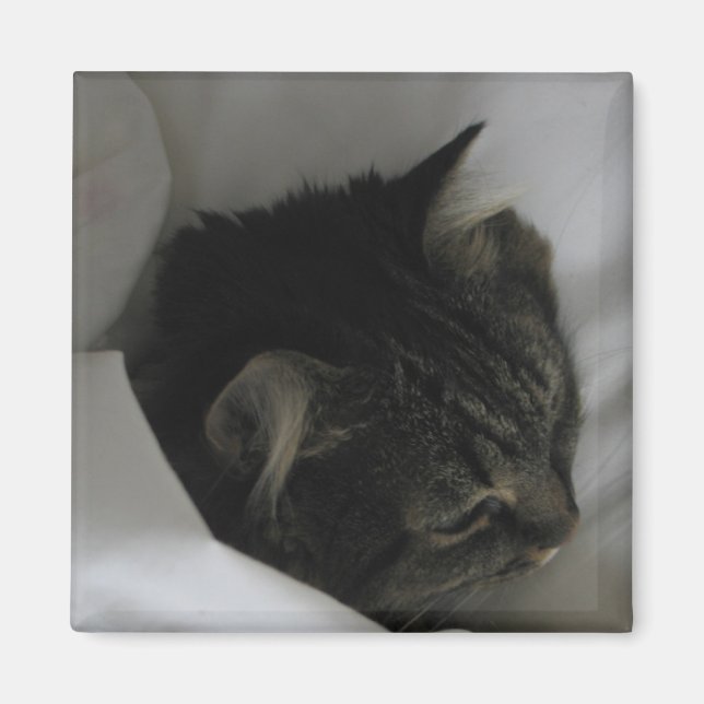 Aimant de chat (Devant)