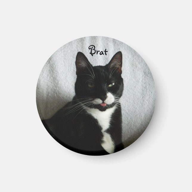 Aimant de chat (Devant)