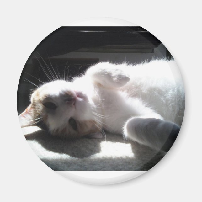 aimant de chat (Devant)