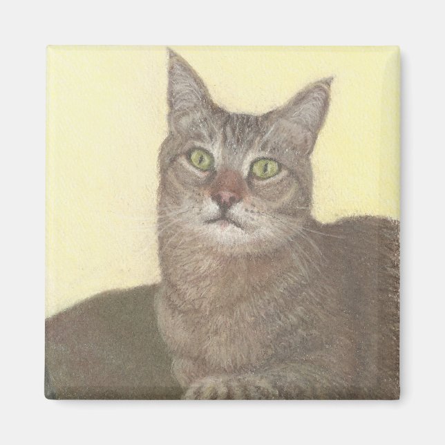 Aimant de chat Abyssinien (Devant)
