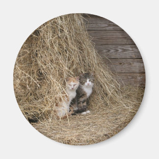 Aimant de chat de grange