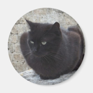 Aimant de chat noir