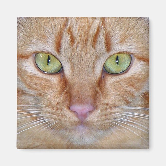 Aimant de chat orange (Devant)