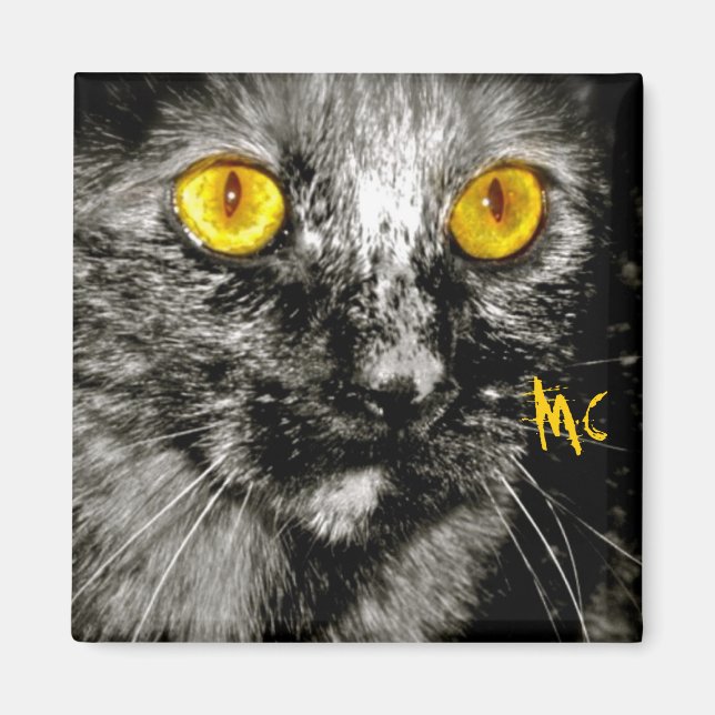 Aimant de chat singe (Devant)