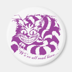 Aimant de Cheshire