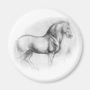 Aimant de cheval de Léonard de Vinci