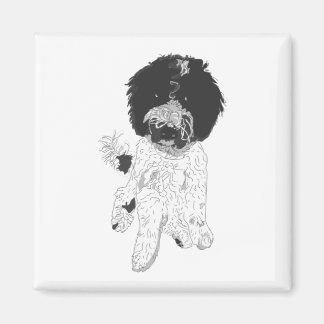 Aimant de chien