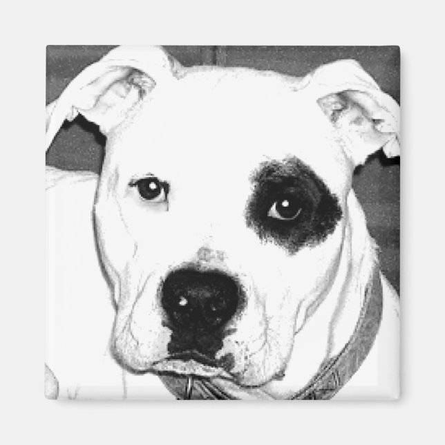 Aimant de chien (Devant)