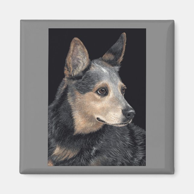 Aimant de chien de bétail australien - "Quigley" (Devant)