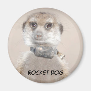 Aimant de chien de Rocket