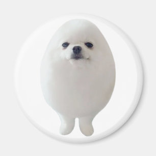 Aimant de chien d'oeufs
