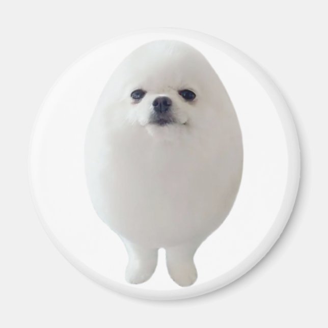Aimant de chien d'oeufs (Devant)