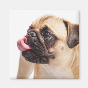 Aimant de chien mignon 1