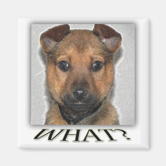 Aimant de chiot super mignon