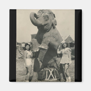aimant de cirque d'éléphant et de 2 filles