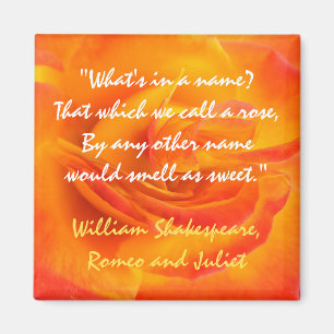 Aimant de citation de rose d'orange