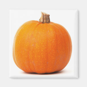 Aimant de citrouille
