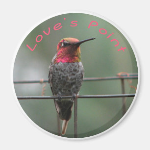 Aimant de colibri Love's Point légende