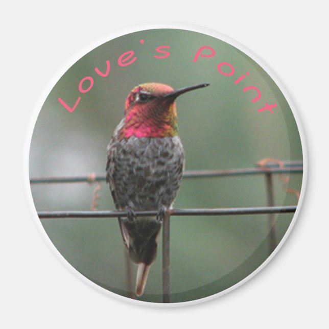 Aimant de colibri Love's Point légende (Devant)