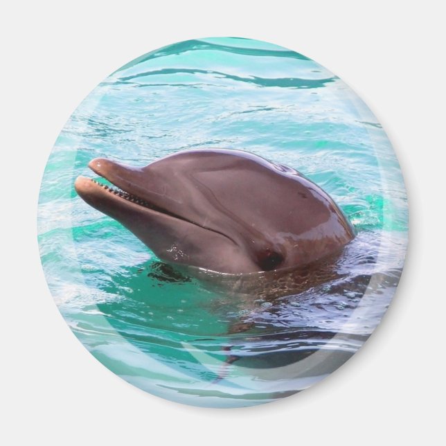 Aimant de conception dauphin (Devant)