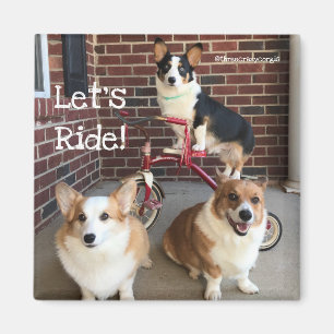 Aimant de corgi
