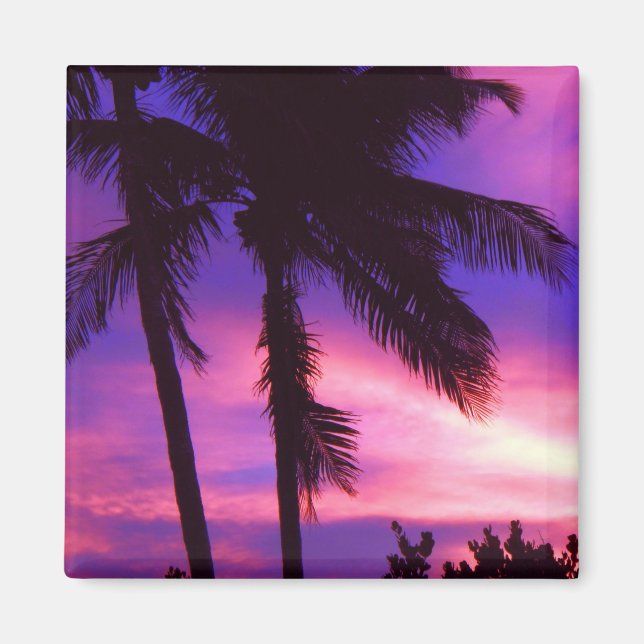 Aimant de coucher de soleil de Palm Floride (Devant)