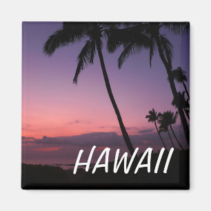 Aimant de coucher de soleil Haswaii tropical rose 