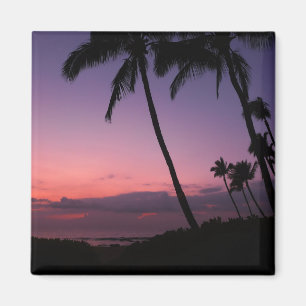 Aimant de coucher de soleil tropical rose et viole