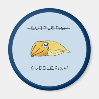 Aimant de cutte