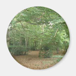 Aimant de défrichement des bois