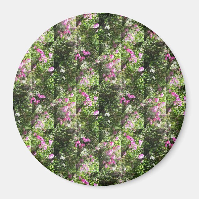 Aimant De délicieux petits pois.... (Devant)