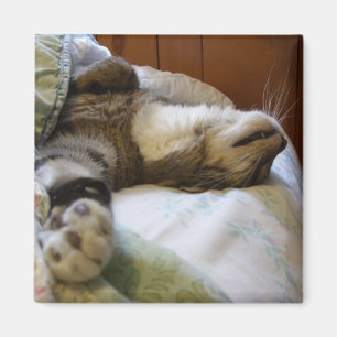 Aimant de détente de Thomas